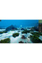 Ecosystem PC Steam Key - 6