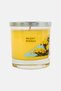 Bright Mimosa Medium Candle Jar 260g