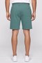 Men Sportswear Fit Drawstring Outdoor Shorts, Green - 4
