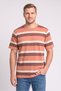 Men Crew Neck Short Sleeve Stripe T-Shirt, Multicolor