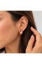 Women's Rose Gold Drop Model Steel Earrings |   Minimalist Stylish Hoop Earrings