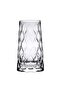 4 Pieces Leafy Long Drink Glass Set 450 Ml Clear