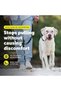 Gentle Leader No-Pull Dog Headcollar - The Ultimate Solution to Pulling - Redirects Your Dog - 2