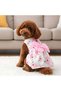 dog-clothes - 6