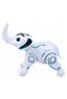 Roboslon RC