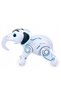 Roboslon RC - 4