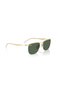 Rb8550 928471 Ni̇lör Gold Sunglasses - 3