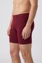 Men's Burgundy Combed Cotton Modal Long Boxers - 2