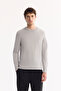 Men's Gray Crew Neck Rayon Non-Pilling Regular Fit Knitwear Sweater A52Y5001