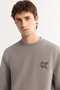 Men's Gray Crew Neck Cotton Bi-Stretch Basic Regular Fit Sweatshirt A52Y1328 - 6