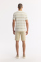 Men's Beige Crew Neck Striped Cotton Regular Fit T-Shirt A51Y1148 - 4