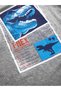 T-rex Info Boy's T-shirt Trousers Set - 6