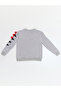 Candy Dinosaur Boy Gray Sweatshirt - 4