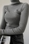 Anthracite Grey Premium Cotton Turtleneck Camisole Raster Slimfit Turtleneck Sweater - 3