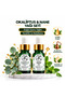 Eucalyptus & Peppermint 100% Pure and Natural Essential Oil Set of 2 2X10 ml Glass Dropper Bottles (Eucalyptus & Peppermint Essential Oil)