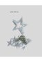 3X3 Meter Star Fairy Led Curtain Light Romantic Decoration - 3