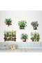 6-Pack Sticker Potted Flower Models - 4