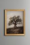 Olive Tree with Roots - Vintage Patterned Painting - Fine Model