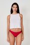 Microfibre and Lace Briefs - 2