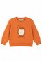 Baby Boy Lion Sweatshirt 1-4 Years Orange - 2
