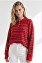 Women's Red Polo Collar Striped Knitwear Sweater Kzk-19001186 - 4