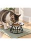 Ceramic Cat Bowl with Metal Stand, Shallow Pet Food Dish - 2