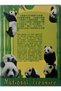 PANDA Laminated playing cards with a variety of card pictures. Unique deck that makes an ideal gift Includes 54 pieces of collection cards. - 3