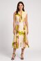 Women Allover Print Midi Dress, Multicolor