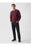 I Zero Roba Collar Men's Sweatshirt from Freezen Store - 3