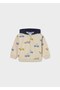 Boy's Tracksuit Set 2836 - 2