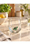 Green Loggerhead Turtle Glass Water Cup with Figure