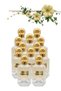 12 قطعة Paradise Perfume 100مل
