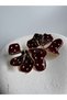Burgundy Polka Dot Leaf Earrings (5 cm) - 3