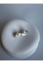 Pearlized Oyster Tiny Earrings (1.9 cm) - 2