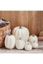 7PCS Thanksgiving White Pumpkin Decorations Various Sizes Pumpkin Decorations Artificial Pumpkins Fall Autumn Decor, Suitable for Fall Harvest, Thanksgiving Party Indoor and Outdoor Decoration - 4
