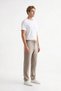 Men's Jogger Striped Trousers with Zipper and Button Back Pockets Regular Fit - 3