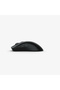 Mouse Model O 2 Pro - 8