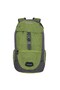 Junny 15 Lt Backpack (Green)