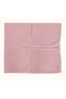 Pike Model Baby Blanket - 3