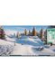 Planet Zoo Arctic Pack DLC PC Steam Key - 6