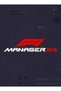 F1 MANAGER 2024 PC Steam Key