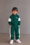 Boys' Cotton Green Zippered High Collar Sweatshirt and Green Bottom Top Set