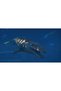 Jurassic World Evolution 3 Pachet de Upgrade Deluxe Cheie Steam PC - 5
