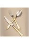 Hisar Infinity 8Set of 4 12-Person Cutlery Set with Antique Gold Finish - 6