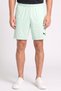 Men Sportswear Fit Brand Logo Training Shorts, Mint Green