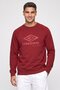 Men Sportswear Fit Brand Logo Outdoor Sweatshirt, Burgundy