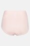 Women 3 Pack Textured Microfiber And Lace Briefs, Multicolor - 3