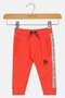 Toddlers Boy Embroidered Pants, Multicolor - 2