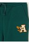 Ozmarka New Season Green Boys' Thick Jogger Sweatpants - 3