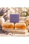 Lavender Goat Milk and Donkey Milk Pumpkin Fiber Soap Set 3 Pieces - 2